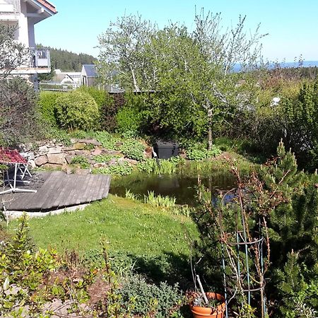 Ferienwohnung Sonnenblick Eisenbach  Zewnętrze zdjęcie